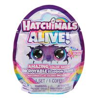 Hatchimals Alive! Rainbow Splash 1 Pack