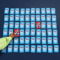 Picture Matching Game - Assortment