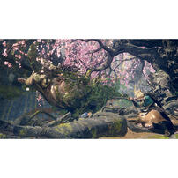 Nintendo Switch Wild Hearts S