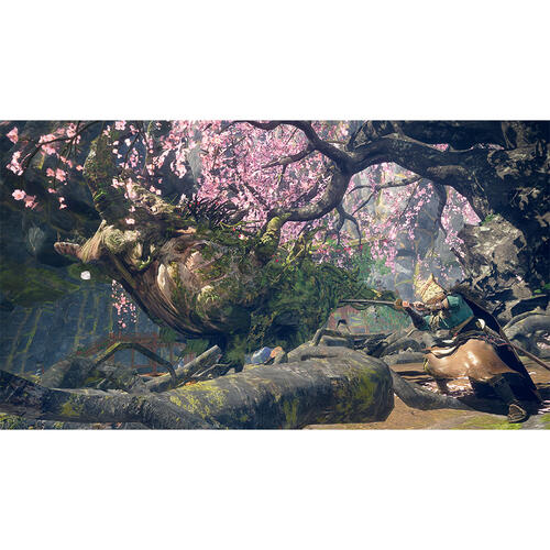 Nintendo Switch Wild Hearts S