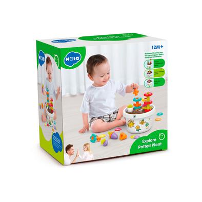 Hola Explore Potted Plant