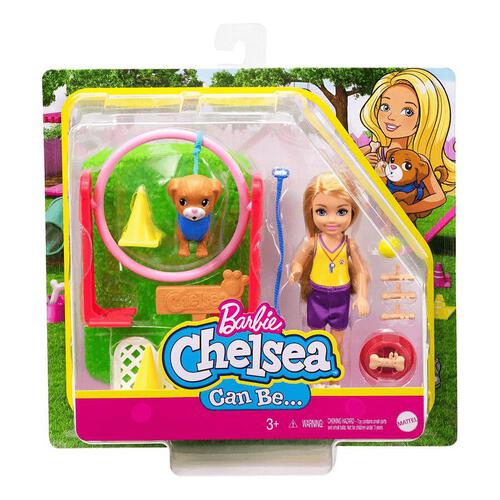 Barbie Chelsea Careers Playset - Assorted
